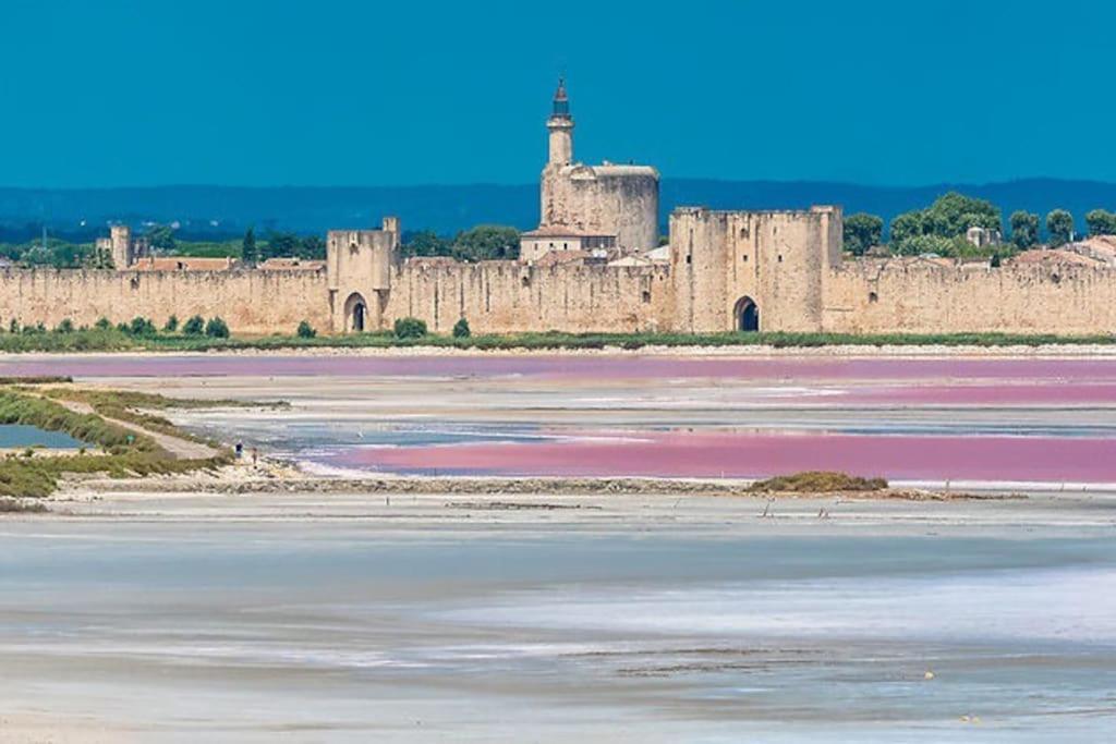 Maison A 800M Des Remparts إج مورت المظهر الخارجي الصورة